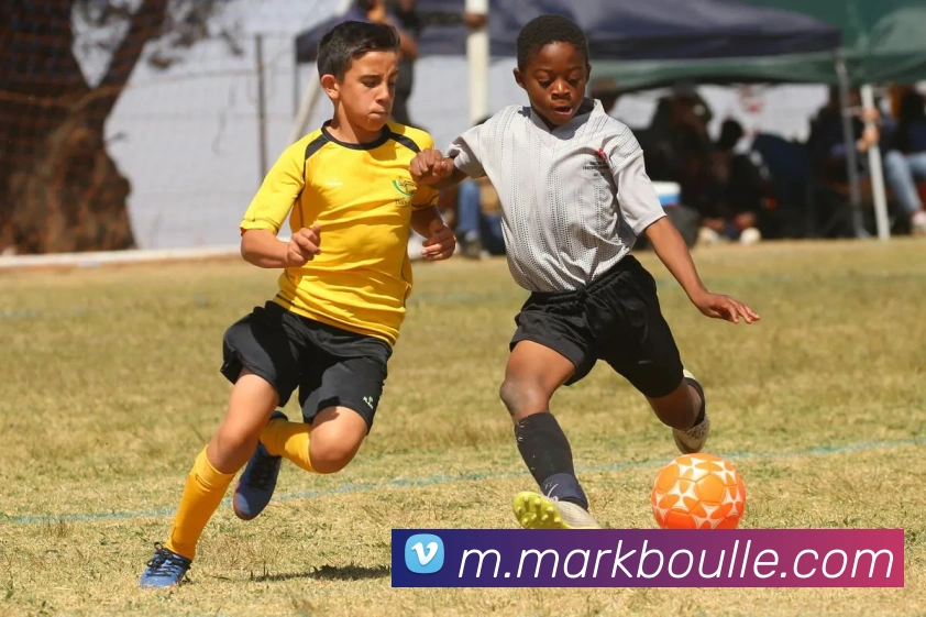 半岛在线注册服务体系